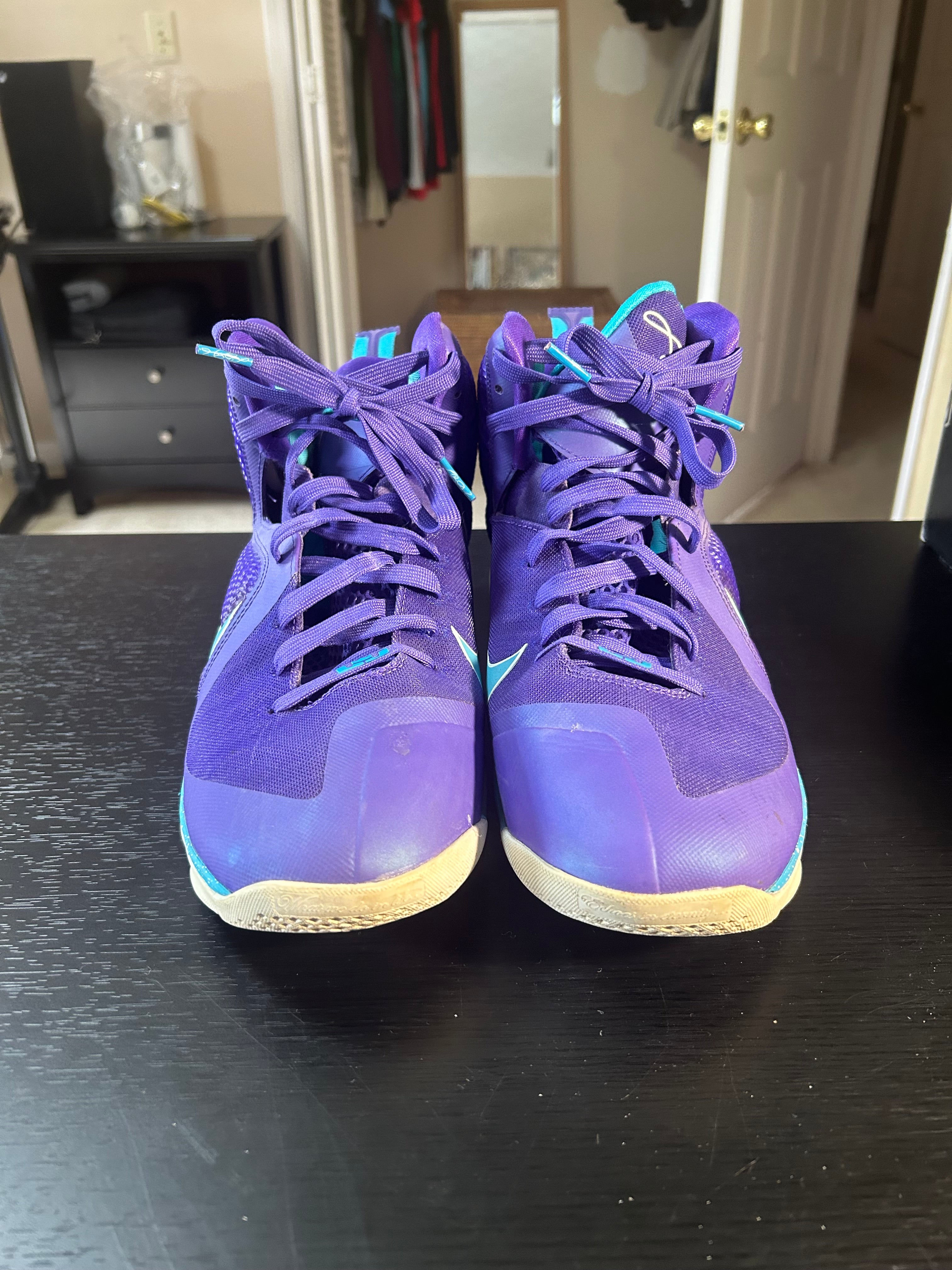 Shoe Lebron 9 Summit Lake Hornets (11)