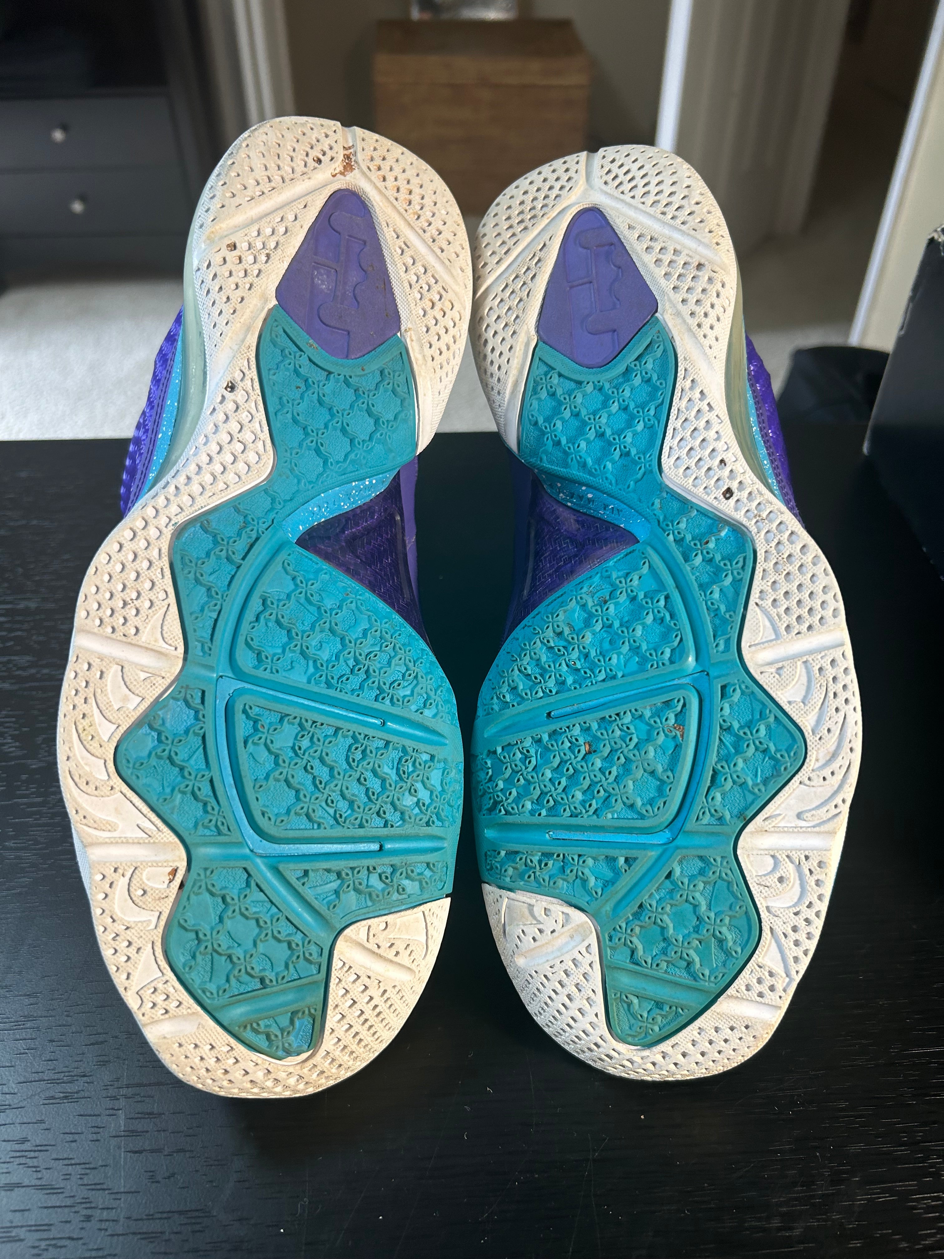 Shoe Lebron 9 Summit Lake Hornets (11)